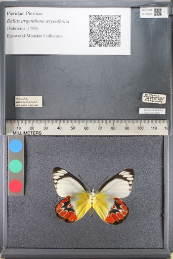 Media type: image;   Entomology 140026